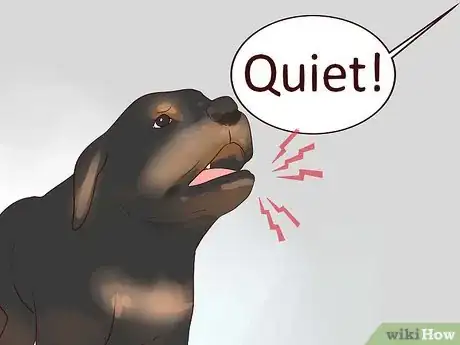 Image intitulée Train Your Rottweiler Puppy With Simple Commands Step 8