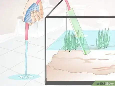 Image intitulée Do a Water Change in a Freshwater Aquarium Step 8