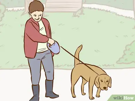 Image intitulée Persuade Your Parents to Get a Dog Step 5