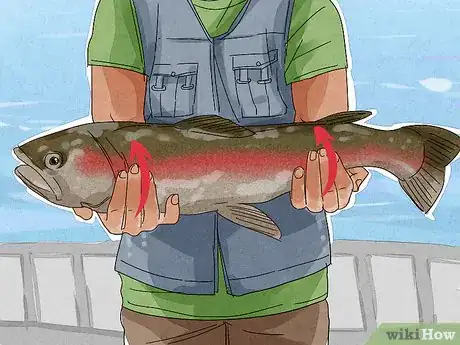 Image intitulée Unhook a Fish Step 2