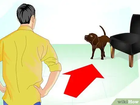 Image intitulée Stop Dog Marking Behaviors Step 6