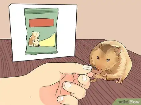 Image intitulée Feed Dwarf Hamsters Step 1