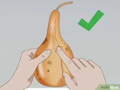 Image intitulée Dry Birdhouse Gourds Step 9