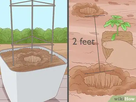 Image intitulée Grow Cherry Tomatoes Step 11