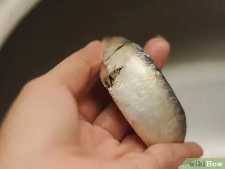 Image intitulée Cook Sardines Step 1Bullet1