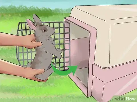 Image intitulée Catch a Pet Rabbit Step 18