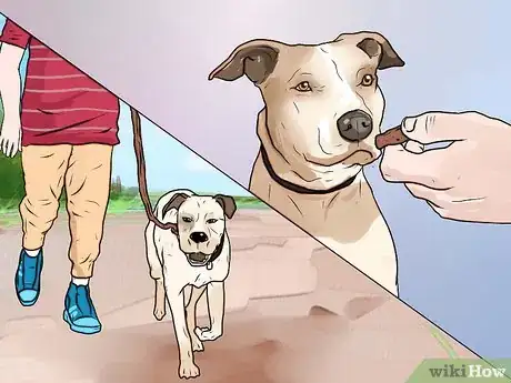 Image intitulée Stop Your Dog from Barking at Strangers Step 9
