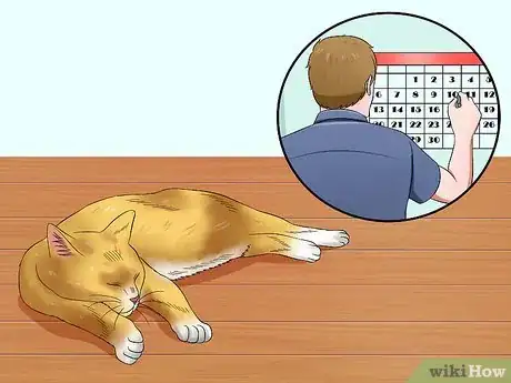 Image intitulée Help Cats to Sleep at Bedtime Step 1