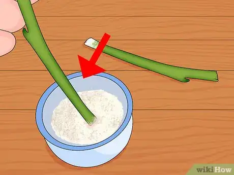 Image intitulée Make Homemade Hormone Rooting Powder or Tonic Step 5