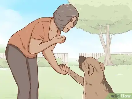 Image intitulée Communicate With Your Dog Step 17