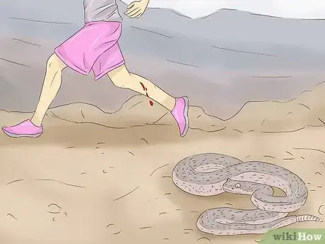 Image intitulée Treat a Rattlesnake Bite Step 1