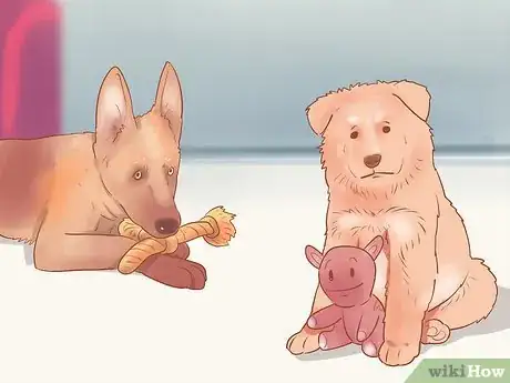 Image intitulée Choose a German Shepherd Puppy Step 26