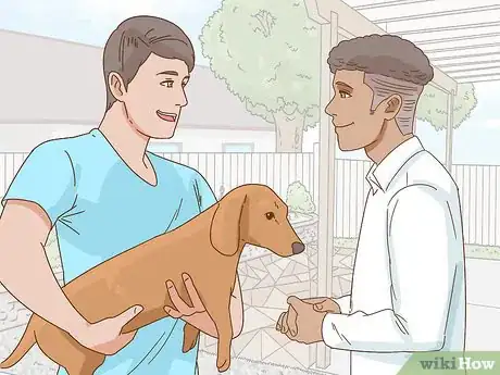 Image intitulée Hold a Dachshund Properly Step 11