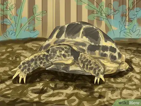 Image intitulée Care for a Tortoise Step 11