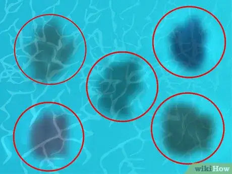 Image intitulée Diagnose and Remove Any Swimming Pool Stain Step 1