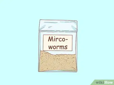 Image intitulée Culture Microworms Step 1