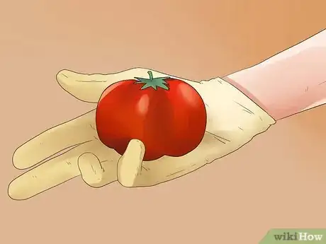 Image intitulée Dehydrate Tomatoes Step 2