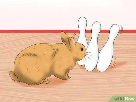 Image intitulée Treat Digestive Problems in Rabbits Step 18
