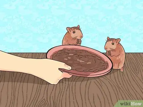 Image intitulée Feed Dwarf Hamsters Step 8