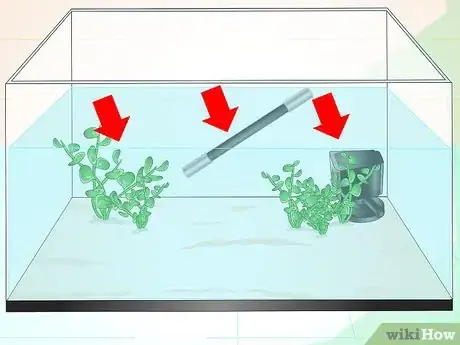 Image intitulée Care for a Betta Fish in a Vase Step 12