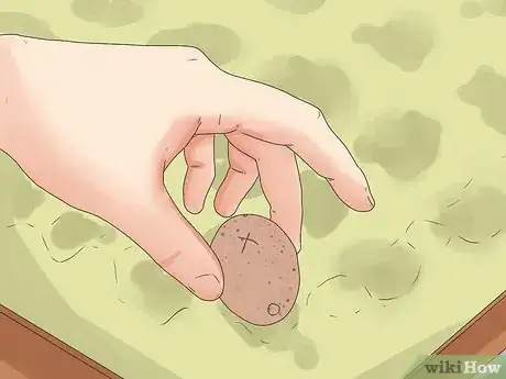 Image intitulée Hatch Turkey Eggs in an Incubator Step 7
