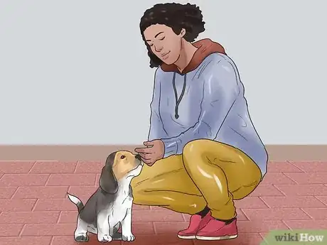 Image intitulée Take Care of a Beagle Puppy Step 3