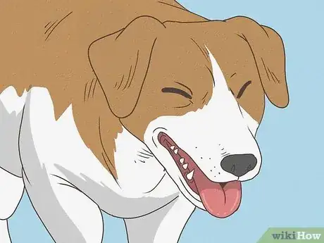 Image intitulée Know When Your Dog is Sick Step 12