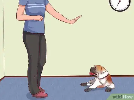 Image intitulée Train a Boxer Puppy Step 12