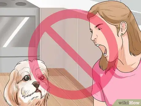 Image intitulée Potty Train a Shih Tzu Step 10