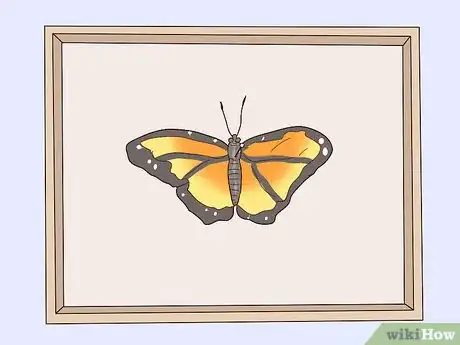 Image intitulée Preserve a Butterfly Step 8