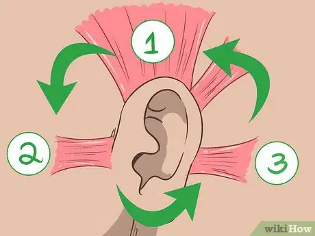 Image intitulée Wiggle Your Ears Step 10