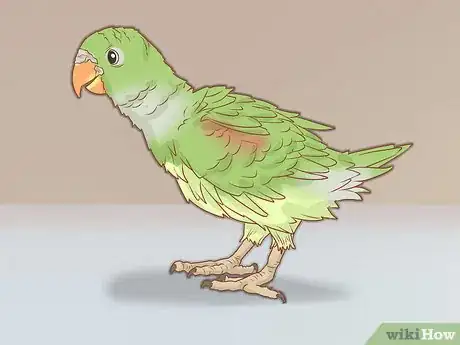 Image intitulée Tell if Your Bird Has Mites Step 5