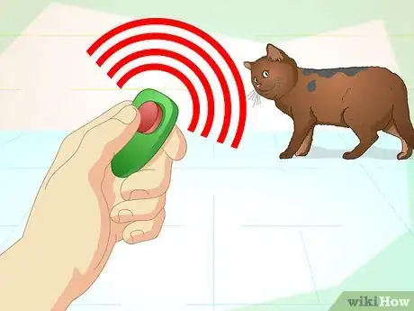 Image intitulée Teach Your Cat to Do Tricks Step 3