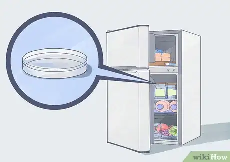 Image intitulée Grow Bacteria in a Petri Dish Step 3