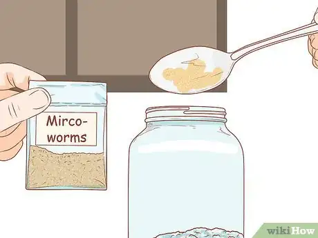 Image intitulée Culture Microworms Step 7