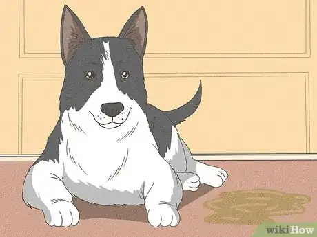 Image intitulée Know When Your Dog is Sick Step 13