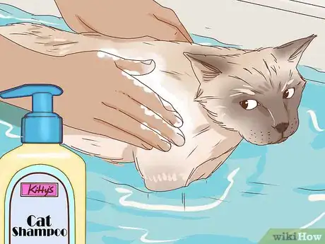 Image intitulée Bathe an Angry Cat With Minimal Damage Step 7