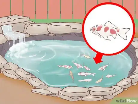 Image intitulée Build a Koi Fish Pond Step 26