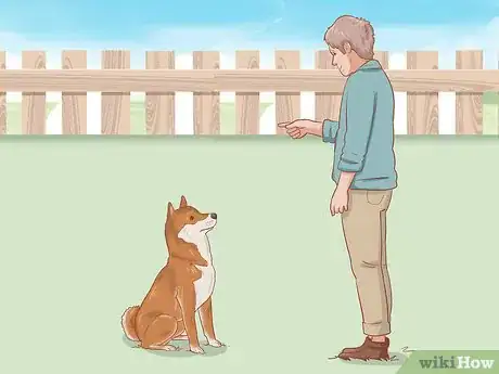 Image intitulée Choose a Shiba Inu Puppy Step 2