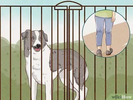 Image intitulée Protect Yourself from Dogs While Walking Step 13