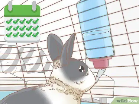 Image intitulée Raise Rabbits Step 6