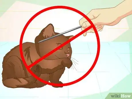 Image intitulée Teach Your Cat to Do Tricks Step 8