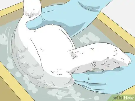 Image intitulée Clean Eggs Step 11