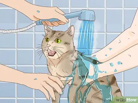 Image intitulée Bathe an Angry Cat With Minimal Damage Step 4