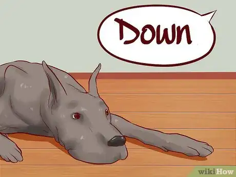 Image intitulée Teach Your Dog Basic Commands Step 9