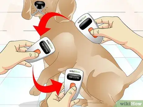 Image intitulée Tell if a Dog Is Microchipped Step 7
