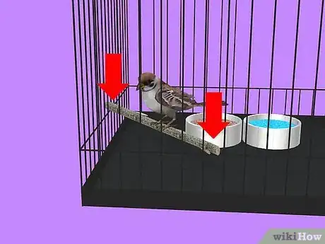 Image intitulée Care for a Sick Pet Bird at Home Step 5