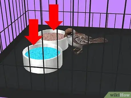 Image intitulée Care for a Sick Pet Bird at Home Step 3