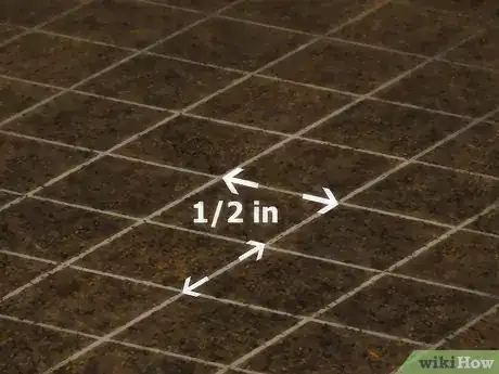 Image intitulée Grow Watercress Step 16