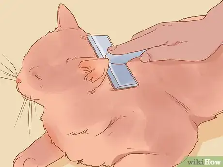Image intitulée Be Nice to Your Pets Step 14
